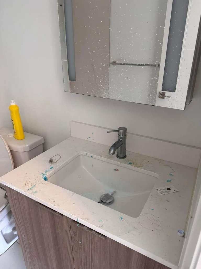 Before cleaning