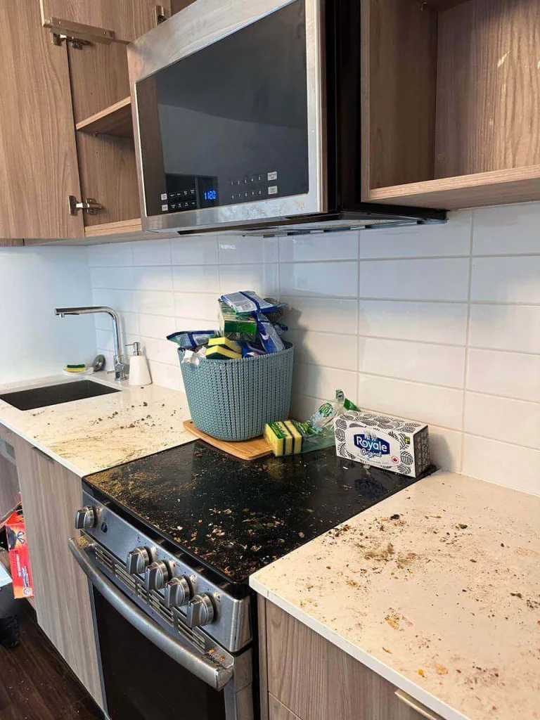 Before cleaning